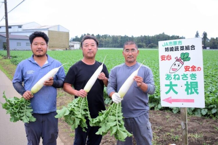 姉崎だいこんの生産者のみなさま（左から八田様、金子様、大野様） 