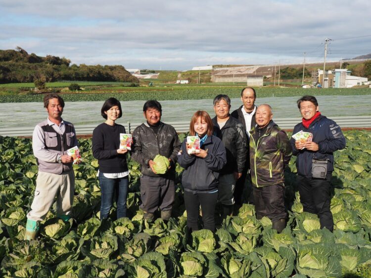 三浦市のキャベツ生産者4名、JA三浦、石井食品の社員